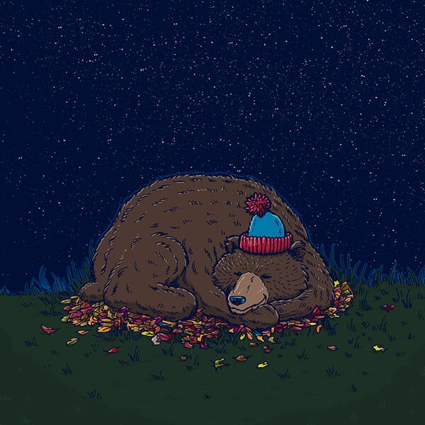 The 37th Parallel | Nick Volkert A sleepy bear hunkers down for the Winter.