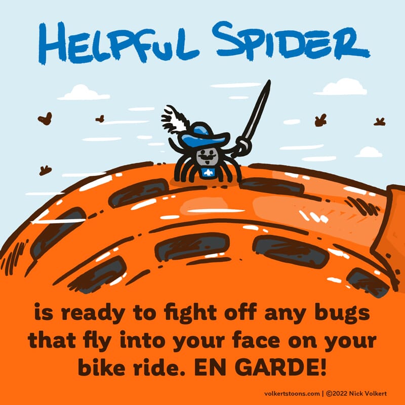 Helpful Spider is on top of a bike helmet defending the rider from bugs!