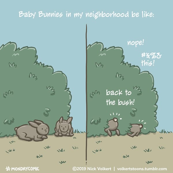 Bunnies go hide in a bush to stay warm during cold weather.