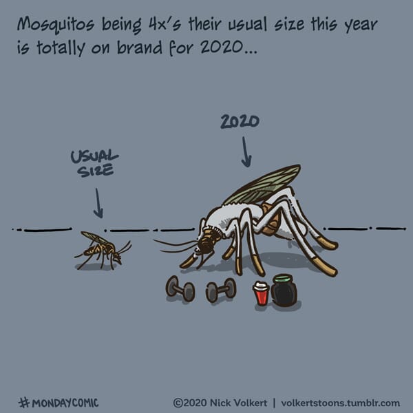 A mosquito from 2020 against a mosquito any other year.