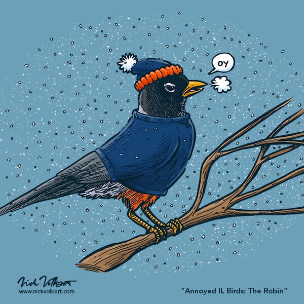 An annoyed robin perched on a branch while is snows around him, wearing a stocking cap and crewneck