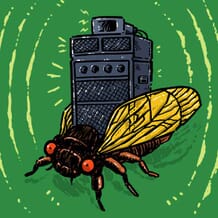 A cicada equipped with a stack of speakers let's its droning go full blast.